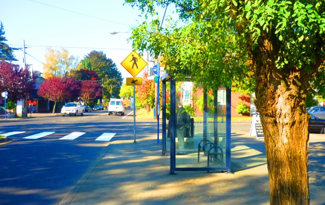Walkable_Stop_0.jpg